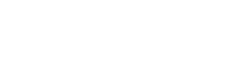 Die PARTEI Logo in wei&szlig;